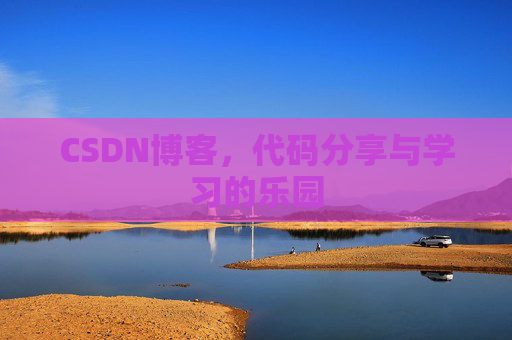 CSDN博客，代码分享与学习的乐园